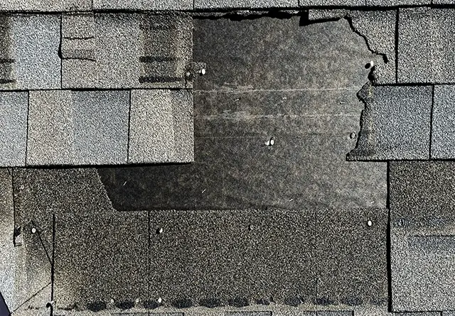 riley roof & exteriors