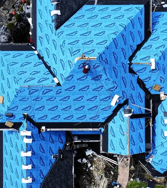 professional roofing services